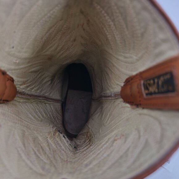 Vintage Dan Post Exotic Teju Lizard Mens 11D Brown Leather Cowboy Western Boots - Picture 14 of 16